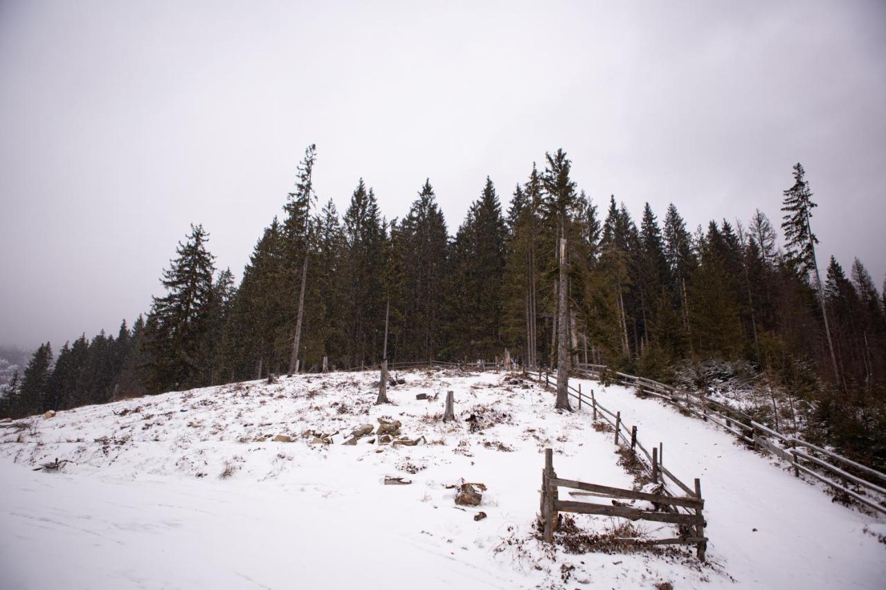 “друзі” Lodge Bukowel